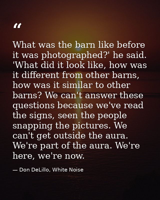 What was the barn like before it was photographed?' he said. 'What did it look like, how was it different from other bar — Don DeLillo, White Noise
