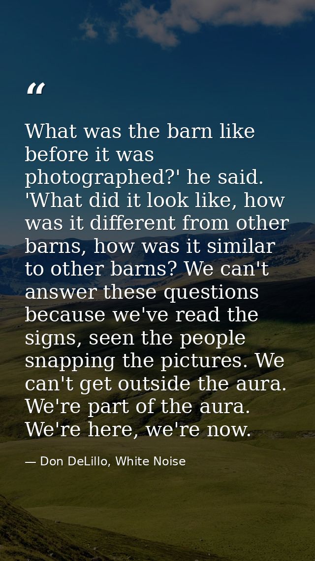 What was the barn like before it was photographed?' he said. 'What did it look like, how was it different from other bar — Don DeLillo, White Noise