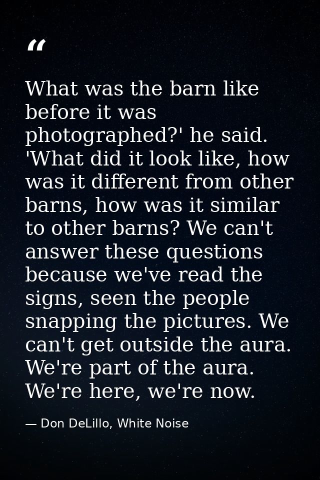 What was the barn like before it was photographed?' he said. 'What did it look like, how was it different from other bar — Don DeLillo, White Noise