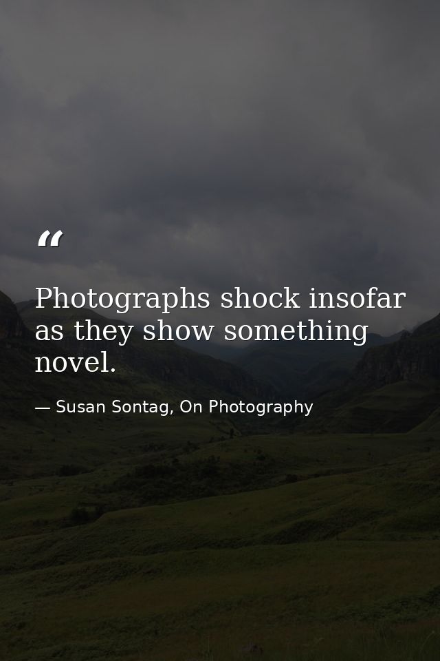 Photographs shock insofar as they show something novel. — Susan Sontag, On Photography