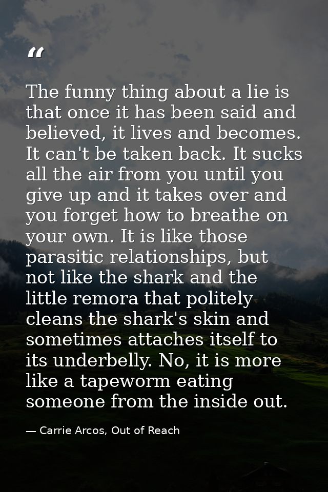 The funny thing about a lie is that once it has been said and believed, it lives and becomes. It can't be taken back. It — Carrie Arcos, Out of Reach