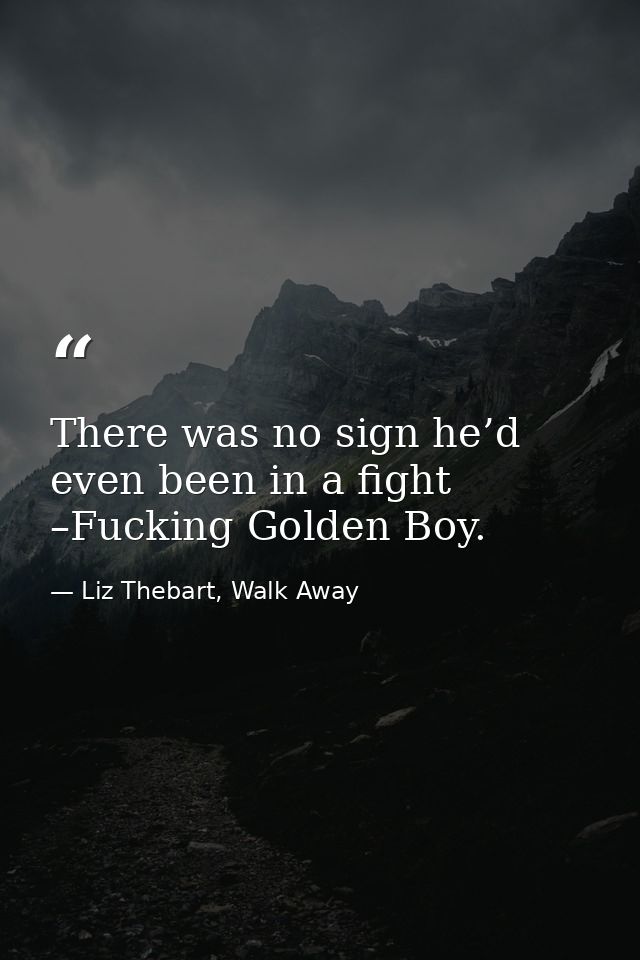 There was no sign he’d even been in a fight –Fucking Golden Boy. — Liz Thebart, Walk Away