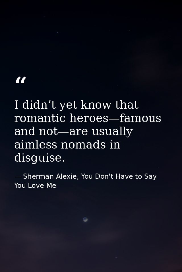 I didn’t yet know that romantic heroes—famous and not—are usually aimless nomads in disguise. — Sherman Alexie, You Don't Have to Say You Love Me