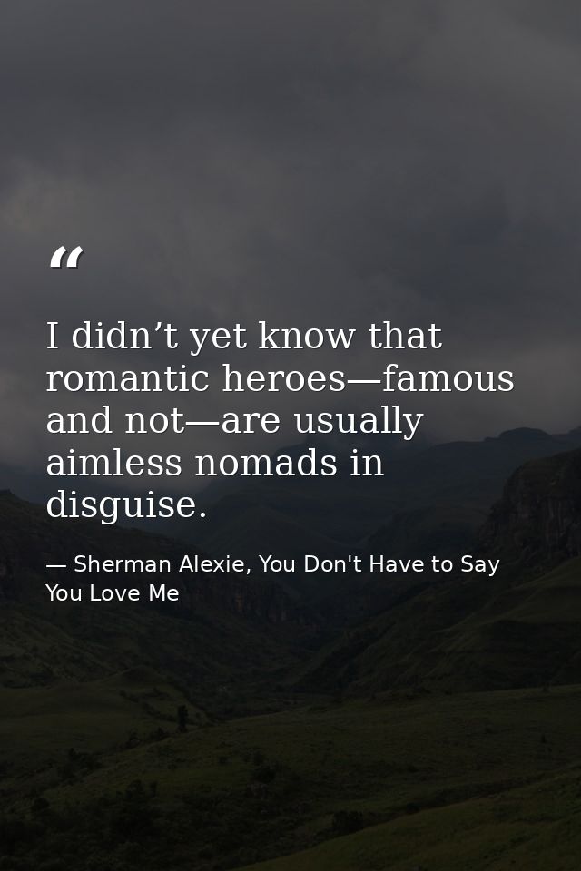 I didn’t yet know that romantic heroes—famous and not—are usually aimless nomads in disguise. — Sherman Alexie, You Don't Have to Say You Love Me