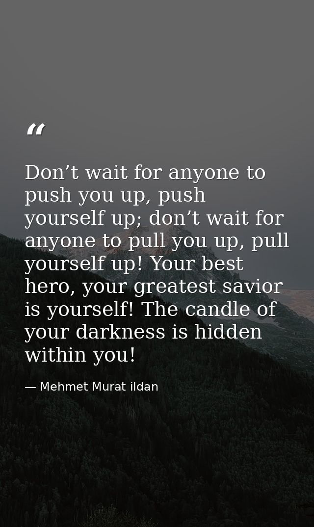 Don’t wait for anyone to push you up, push yourself up; don’t wait for anyone to pull you up, pull yourself up! Your bes — Mehmet Murat ildan
