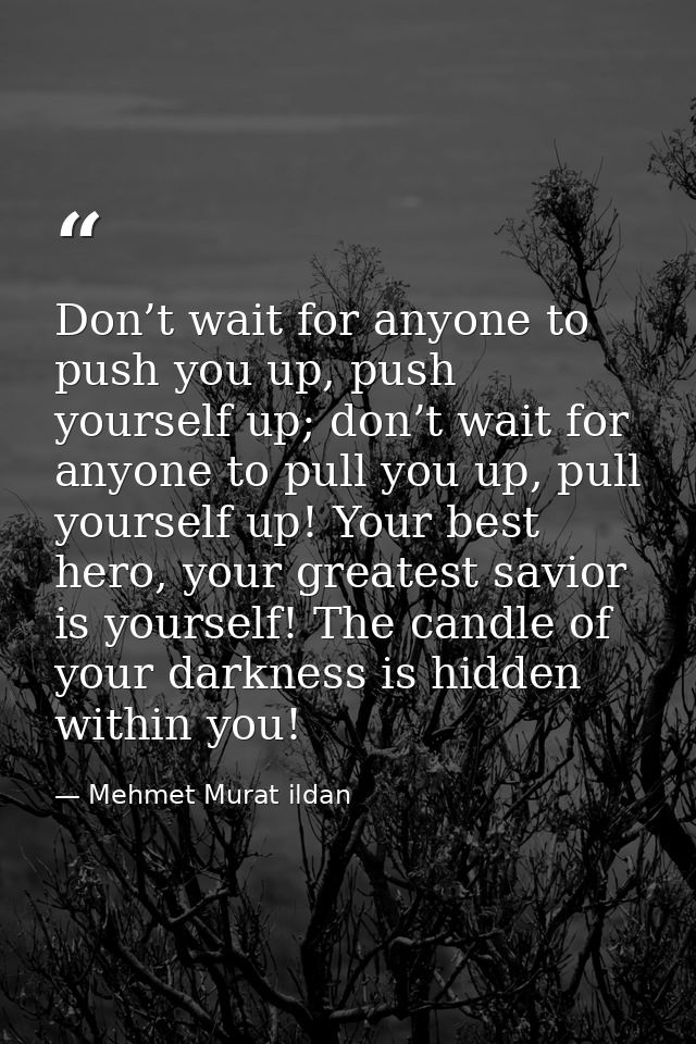 Don’t wait for anyone to push you up, push yourself up; don’t wait for anyone to pull you up, pull yourself up! Your bes — Mehmet Murat ildan
