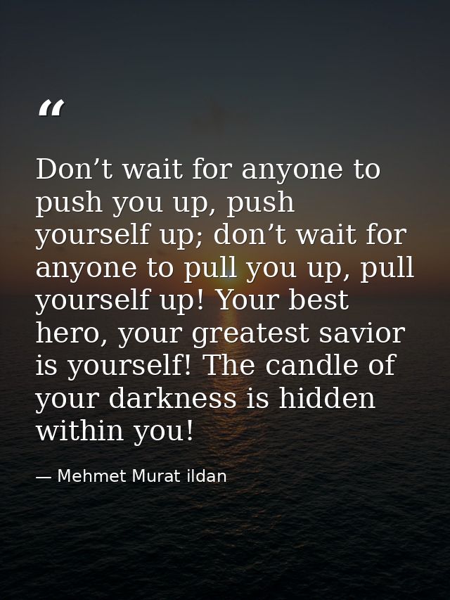 Don’t wait for anyone to push you up, push yourself up; don’t wait for anyone to pull you up, pull yourself up! Your bes — Mehmet Murat ildan