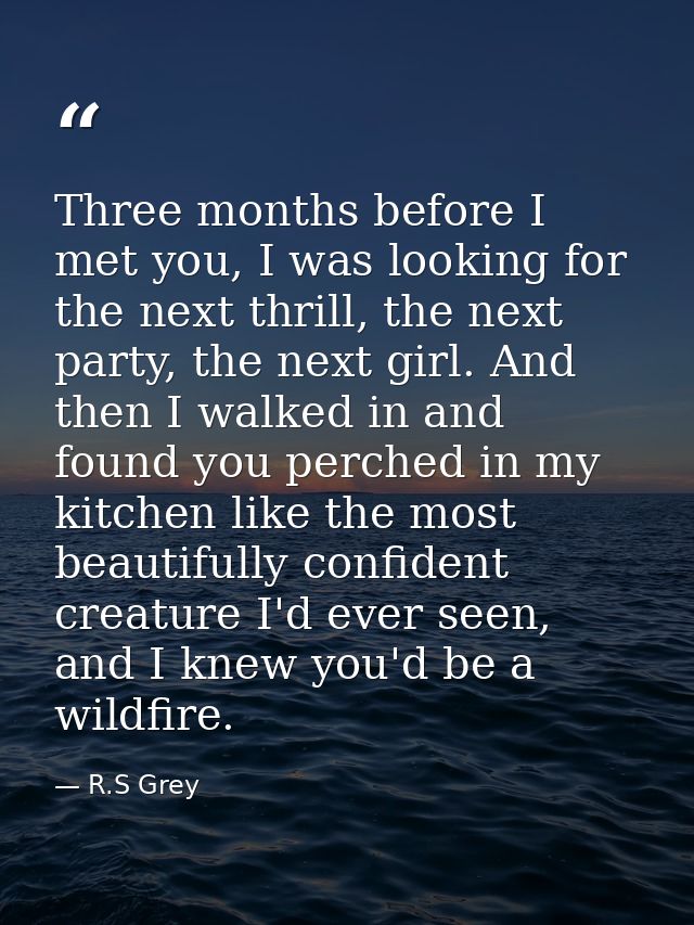 Three months before I met you, I was looking for the next thrill, the next party, the next girl. And then I walked in an — R.S Grey
