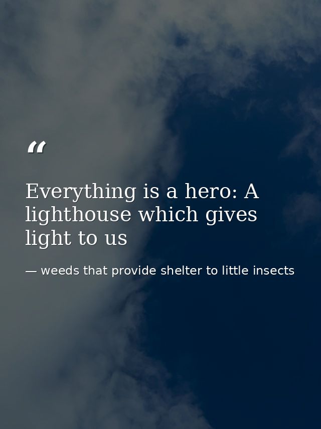 Everything is a hero: A lighthouse which gives light to us — weeds that provide shelter to little insects