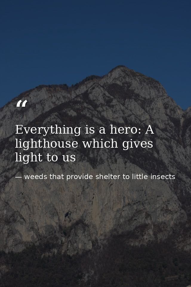 Everything is a hero: A lighthouse which gives light to us — weeds that provide shelter to little insects