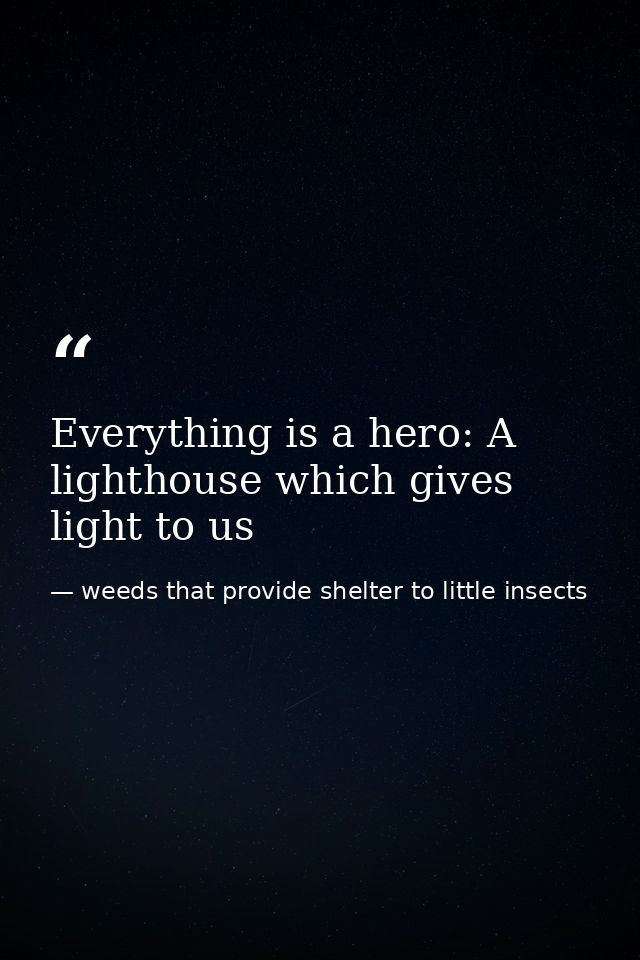 Everything is a hero: A lighthouse which gives light to us — weeds that provide shelter to little insects