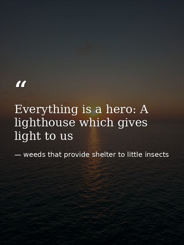 Everything is a hero: A lighthouse which gives light to us — weeds that provide shelter to little insects