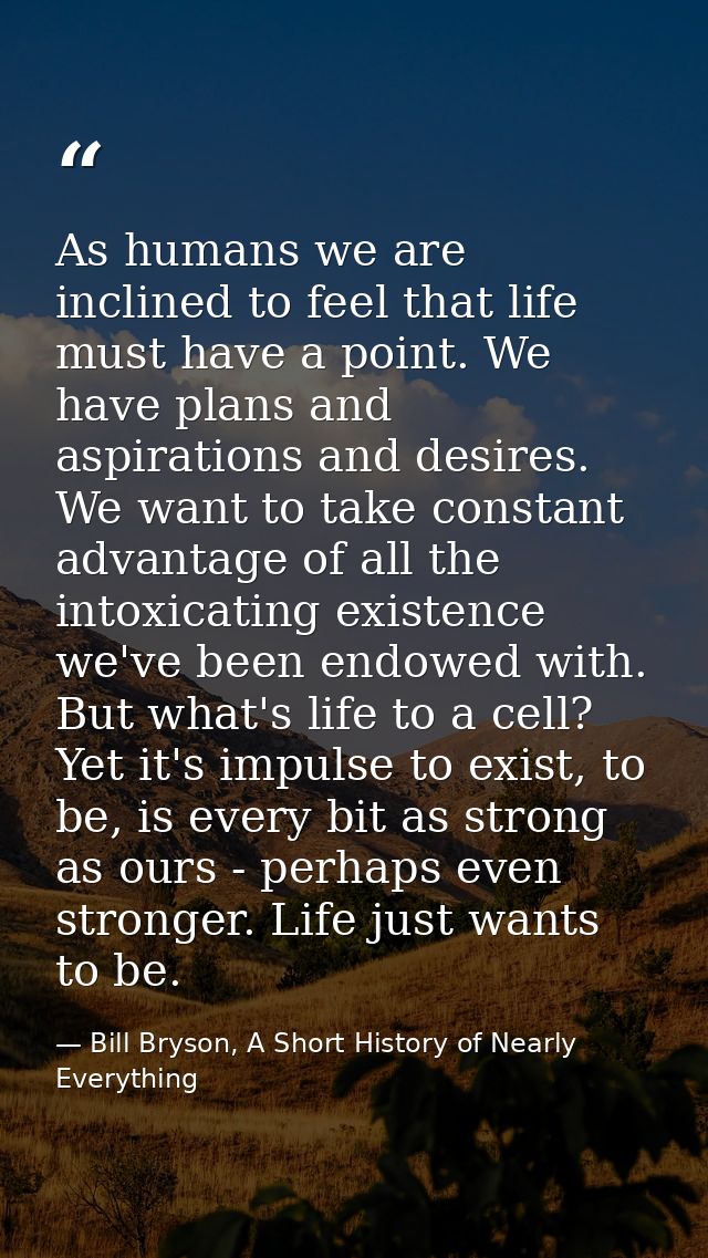 As humans we are inclined to feel that life must have a point. We have plans and aspirations and desires. We want to tak — Bill Bryson, A Short History of Nearly Everything