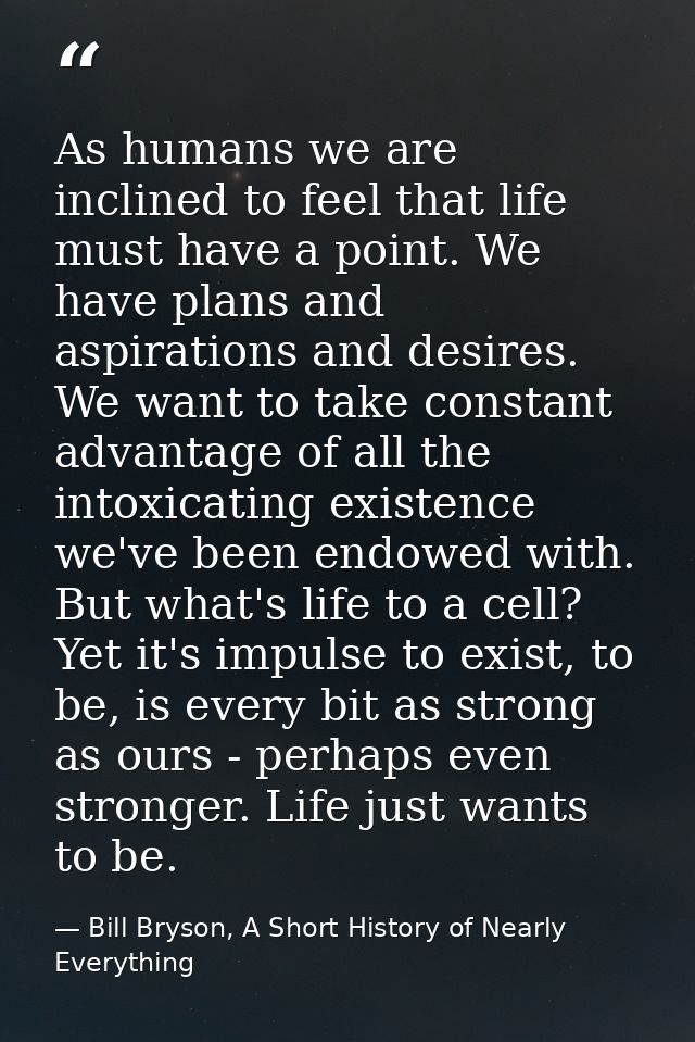 As humans we are inclined to feel that life must have a point. We have plans and aspirations and desires. We want to tak — Bill Bryson, A Short History of Nearly Everything
