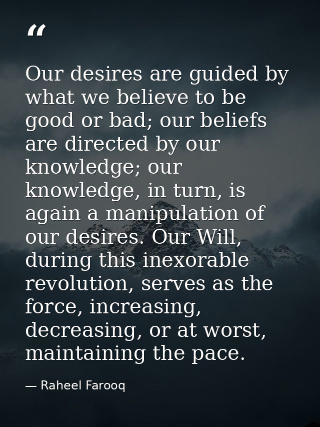 Our desires are guided by what we believe to be good or bad; our beliefs are directed by our knowledge; our knowledge, i — Raheel Farooq