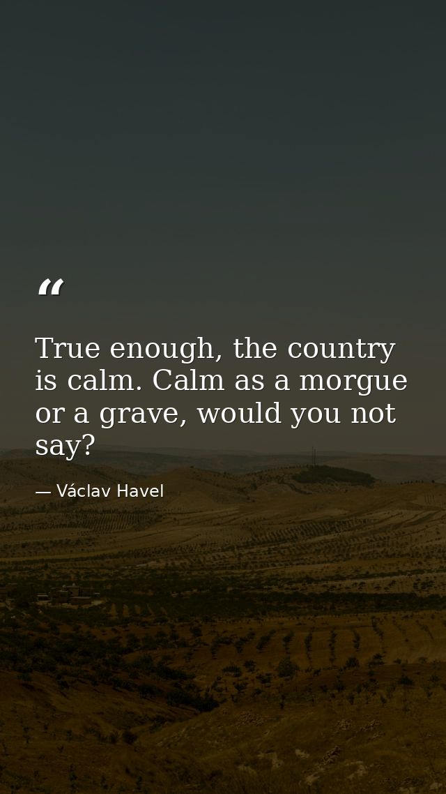 True enough, the country is calm. Calm as a morgue or a grave, would you not say? — Václav Havel