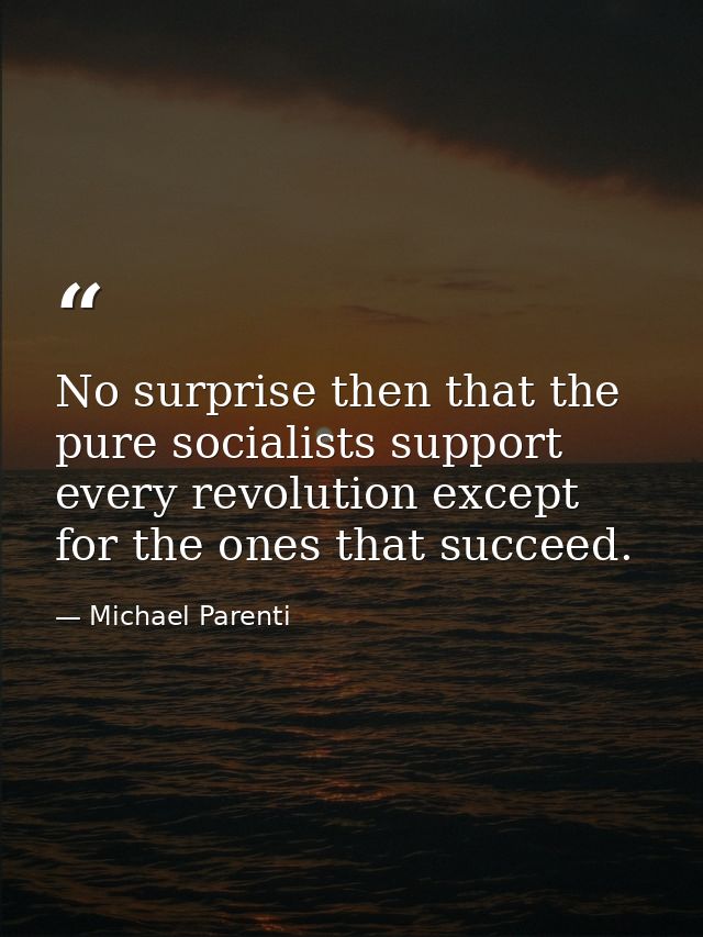 No surprise then that the pure socialists support every revolution except for the ones that succeed. — Michael Parenti