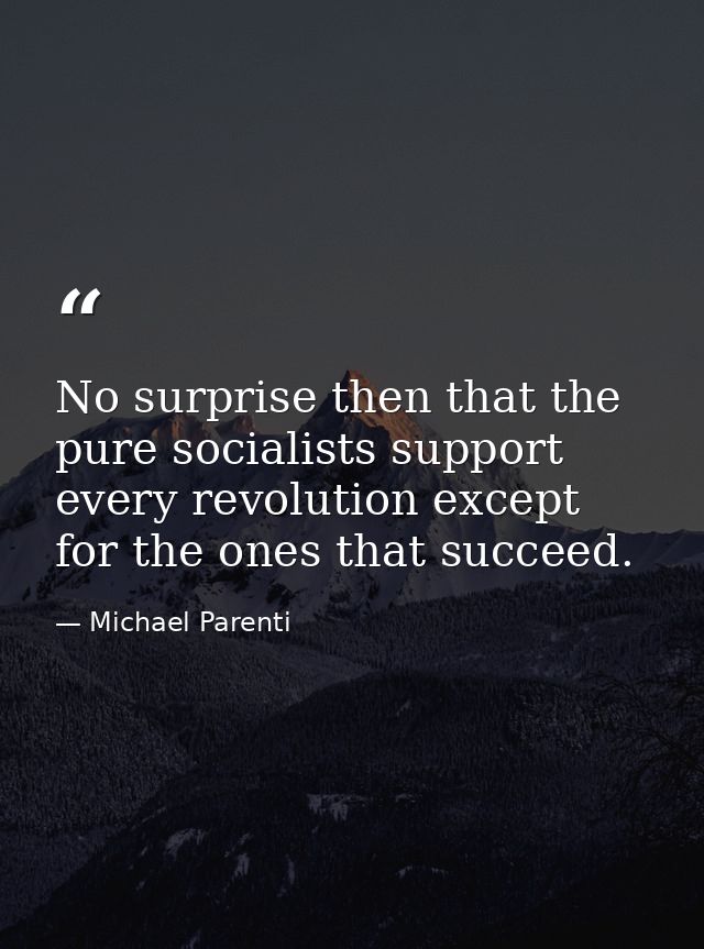 No surprise then that the pure socialists support every revolution except for the ones that succeed. — Michael Parenti