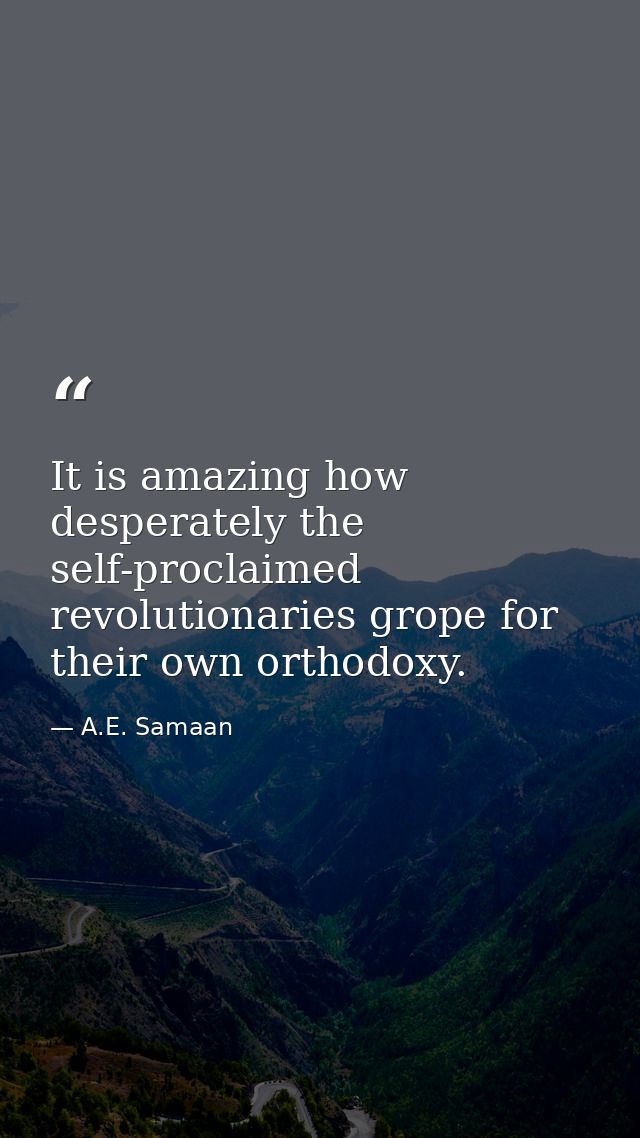 It is amazing how desperately the self-proclaimed revolutionaries grope for their own orthodoxy. — A.E. Samaan