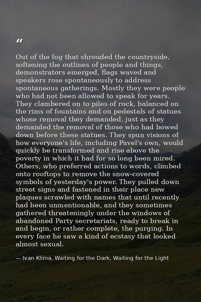 Out of the fog that shrouded the countryside, softening the outlines of people and things, demonstrators emerged, flags  — Ivan Klíma, Waiting for the Dark, Waiting for the Light