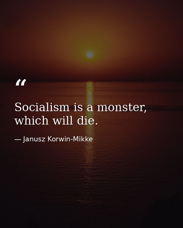 Socialism is a monster, which will die. — Janusz Korwin-Mikke