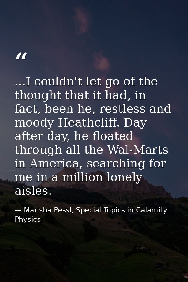 ...I couldn't let go of the thought that it had, in fact, been he, restless and moody Heathcliff. Day after day, he floa — Marisha Pessl, Special Topics in Calamity Physics