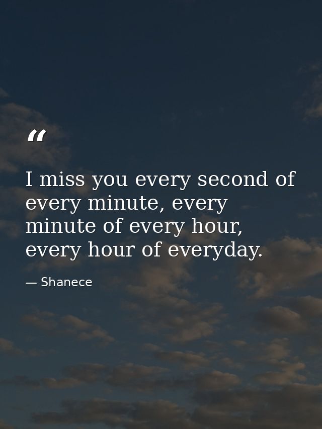 I miss you every second of every minute, every minute of every hour, every hour of everyday. — Shanece