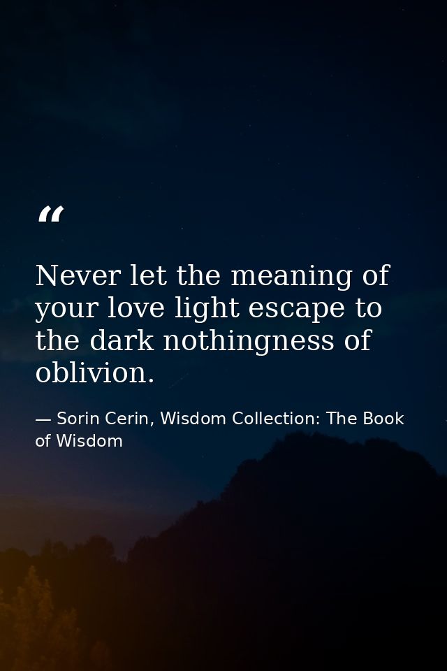 Never let the meaning of your love light escape to the dark nothingness of oblivion. — Sorin Cerin, Wisdom Collection: The Book of Wisdom