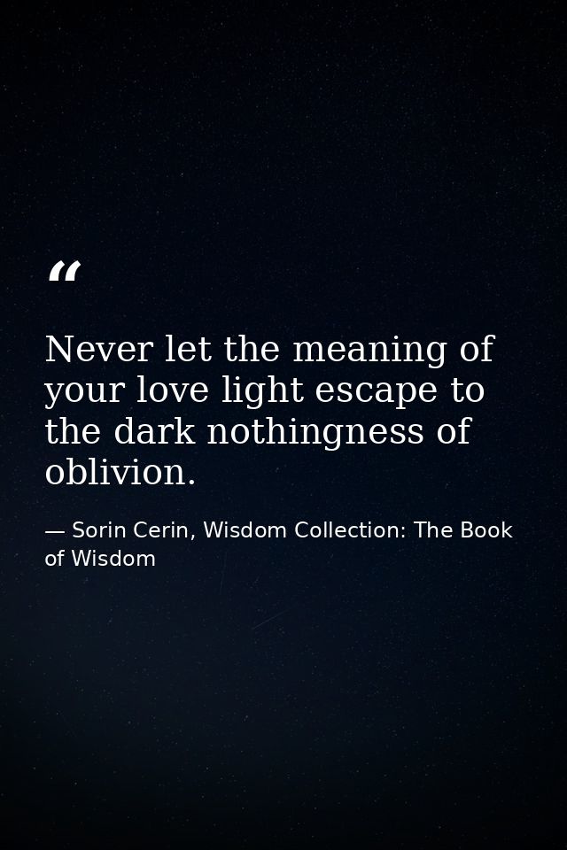 Never let the meaning of your love light escape to the dark nothingness of oblivion. — Sorin Cerin, Wisdom Collection: The Book of Wisdom