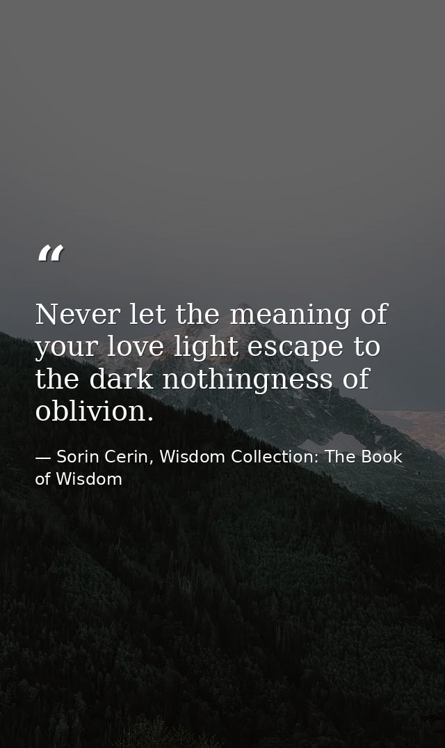 Never let the meaning of your love light escape to the dark nothingness of oblivion. — Sorin Cerin, Wisdom Collection: The Book of Wisdom