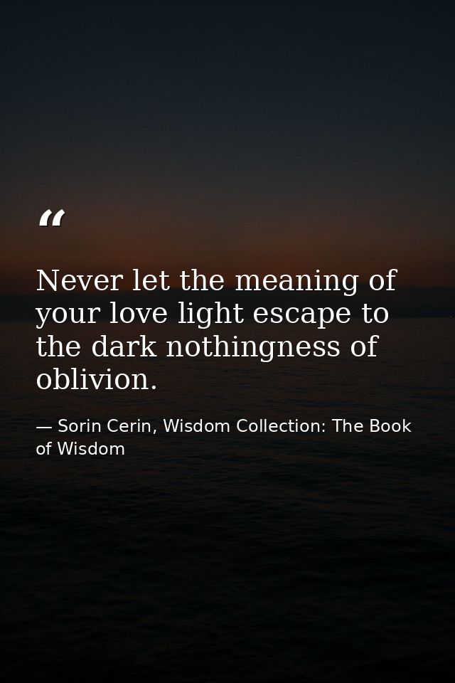 Never let the meaning of your love light escape to the dark nothingness of oblivion. — Sorin Cerin, Wisdom Collection: The Book of Wisdom