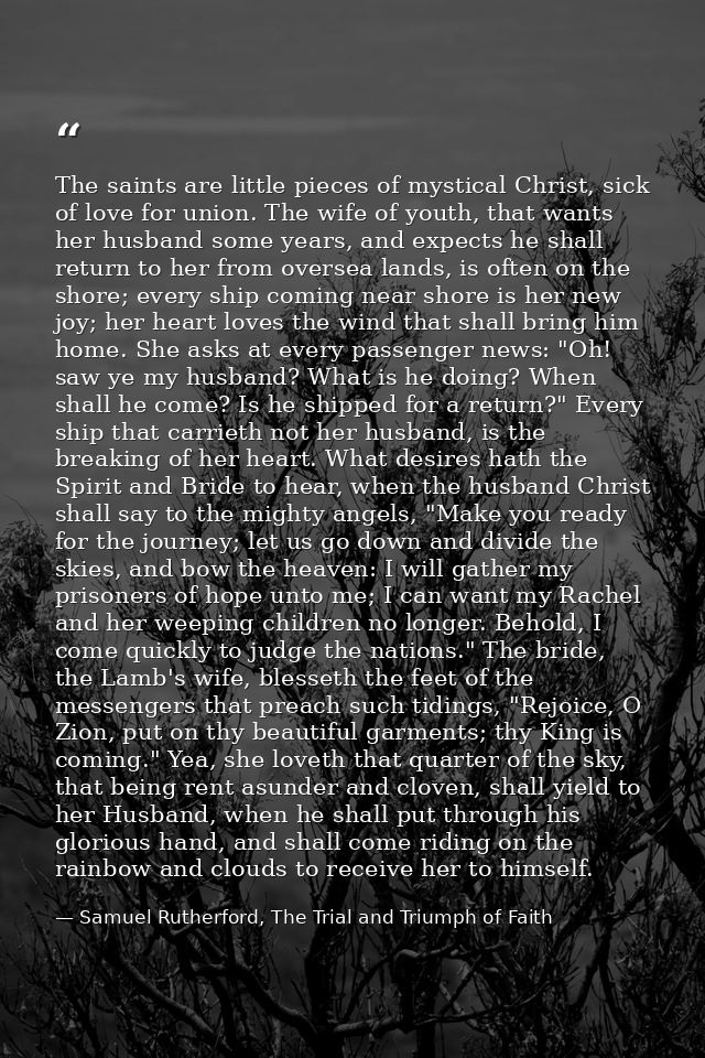 The saints are little pieces of mystical Christ, sick of love for union. The wife of youth, that wants her husband some  — Samuel Rutherford, The Trial and Triumph of Faith