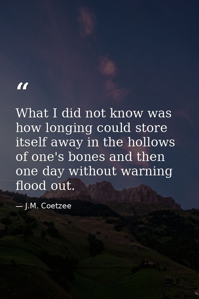 What I did not know was how longing could store itself away in the hollows of one's bones and then one day without warni — J.M. Coetzee