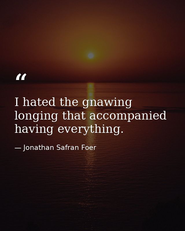I hated the gnawing longing that accompanied having everything. — Jonathan Safran Foer