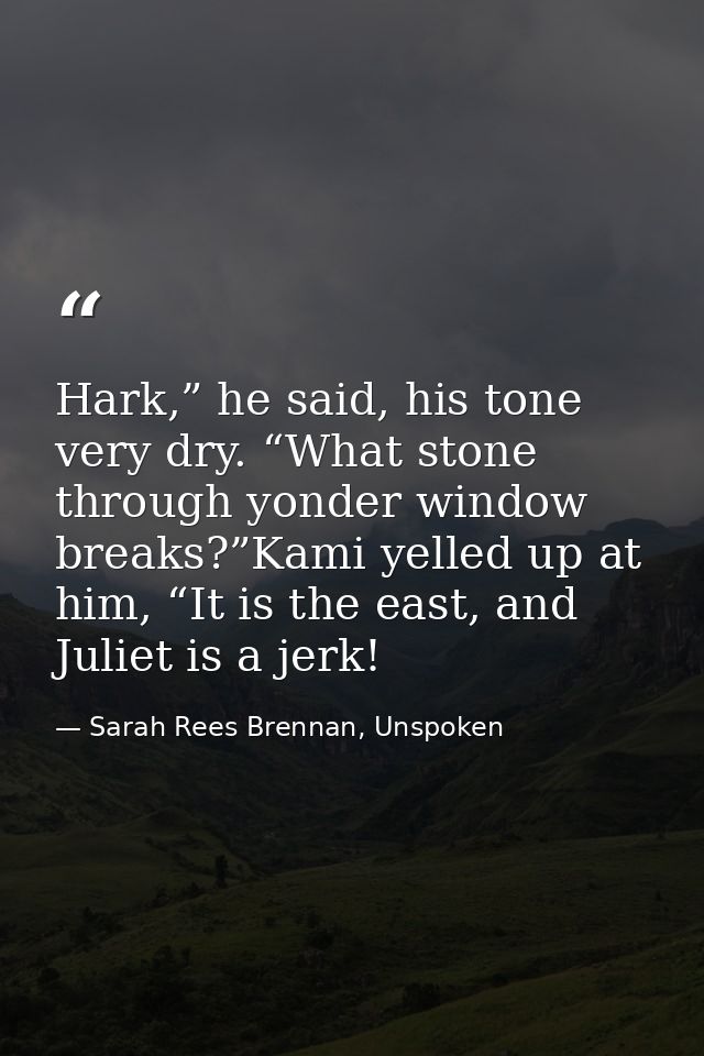 Hark,” he said, his tone very dry. “What stone through yonder window breaks?”Kami yelled up at him, “It is the east, and — Sarah Rees Brennan, Unspoken