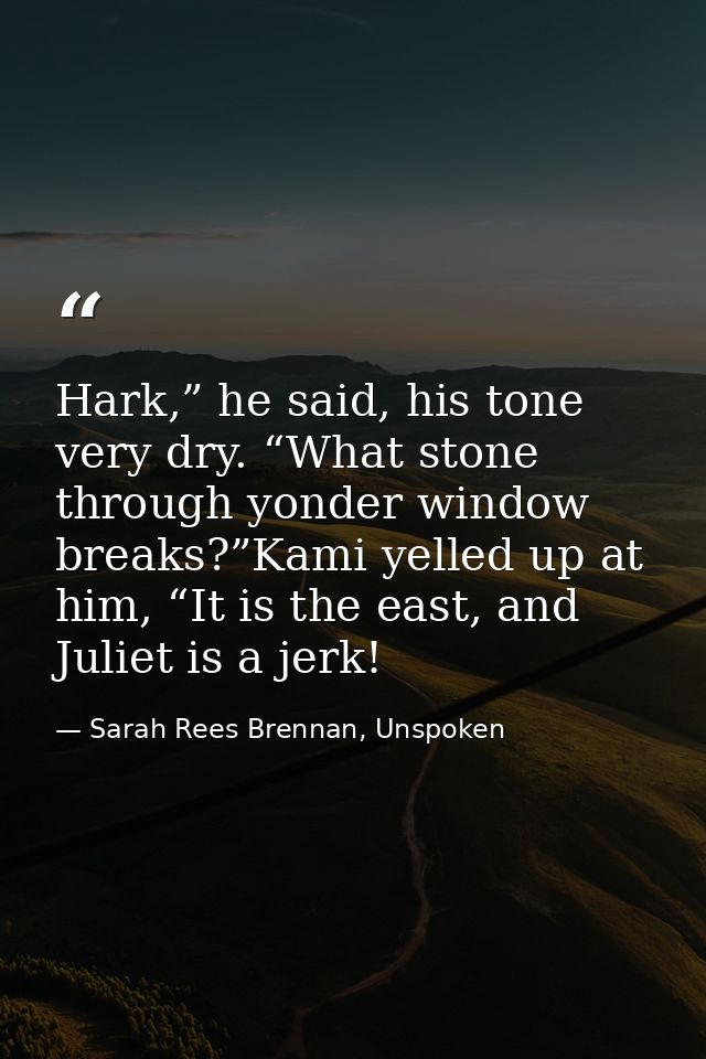 Hark,” he said, his tone very dry. “What stone through yonder window breaks?”Kami yelled up at him, “It is the east, and — Sarah Rees Brennan, Unspoken
