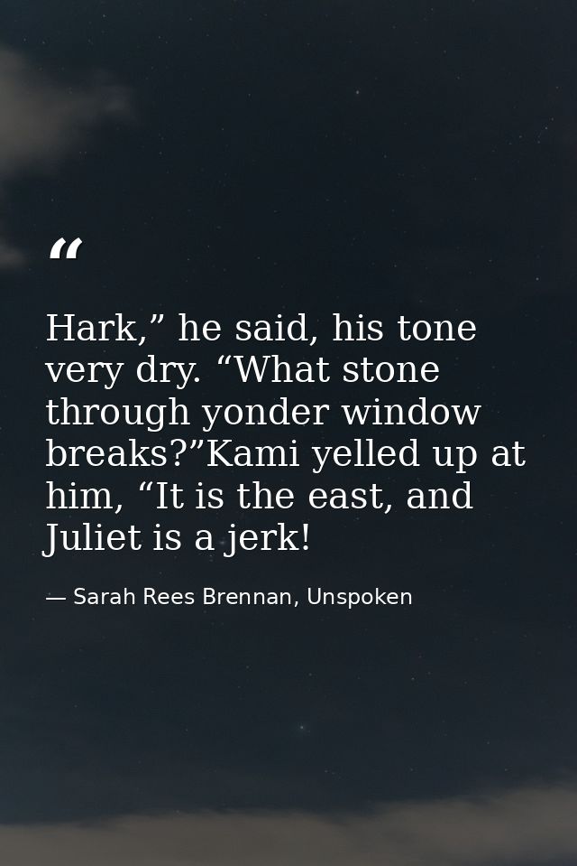Hark,” he said, his tone very dry. “What stone through yonder window breaks?”Kami yelled up at him, “It is the east, and — Sarah Rees Brennan, Unspoken