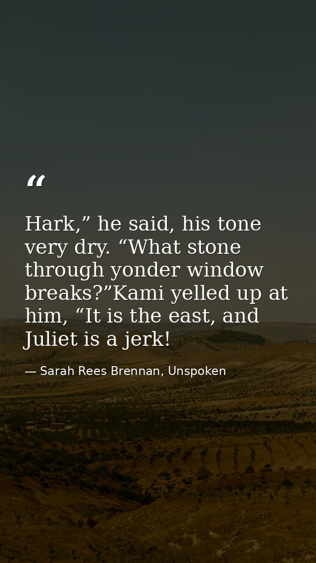 Hark,” he said, his tone very dry. “What stone through yonder window breaks?”Kami yelled up at him, “It is the east, and — Sarah Rees Brennan, Unspoken