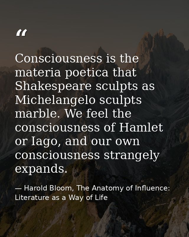 Consciousness is the materia poetica that Shakespeare sculpts as Michelangelo sculpts marble. We feel the consciousness  — Harold Bloom, The Anatomy of Influence: Literature as a Way of Life