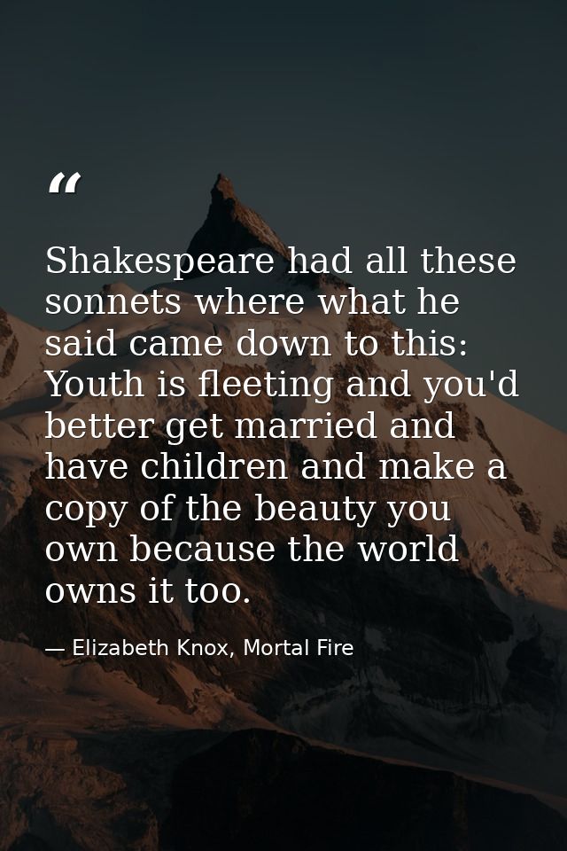 Shakespeare had all these sonnets where what he said came down to this: Youth is fleeting and you'd better get married a — Elizabeth Knox, Mortal Fire