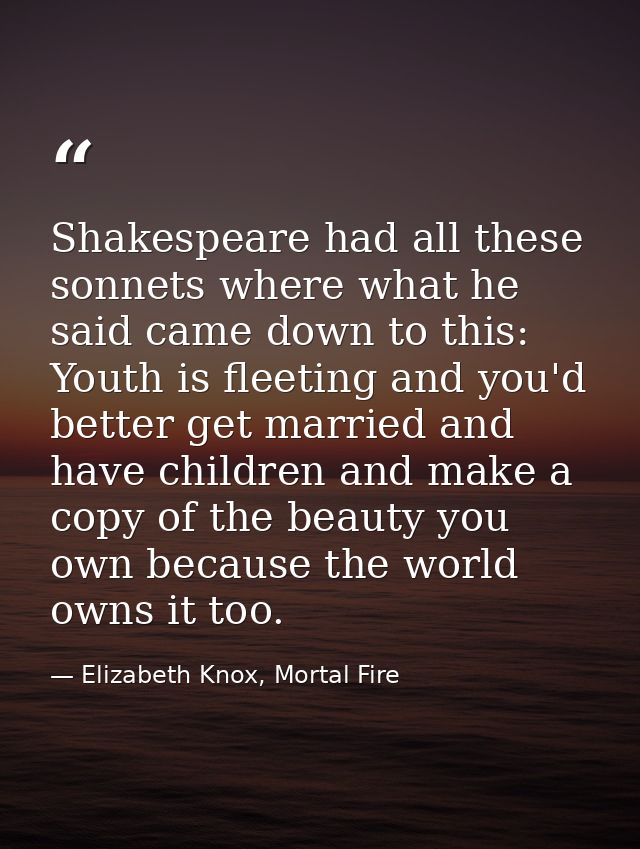 Shakespeare had all these sonnets where what he said came down to this: Youth is fleeting and you'd better get married a — Elizabeth Knox, Mortal Fire