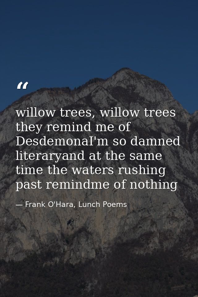 willow trees, willow trees they remind me of DesdemonaI'm so damned literaryand at the same time the waters rushing past — Frank O'Hara, Lunch Poems
