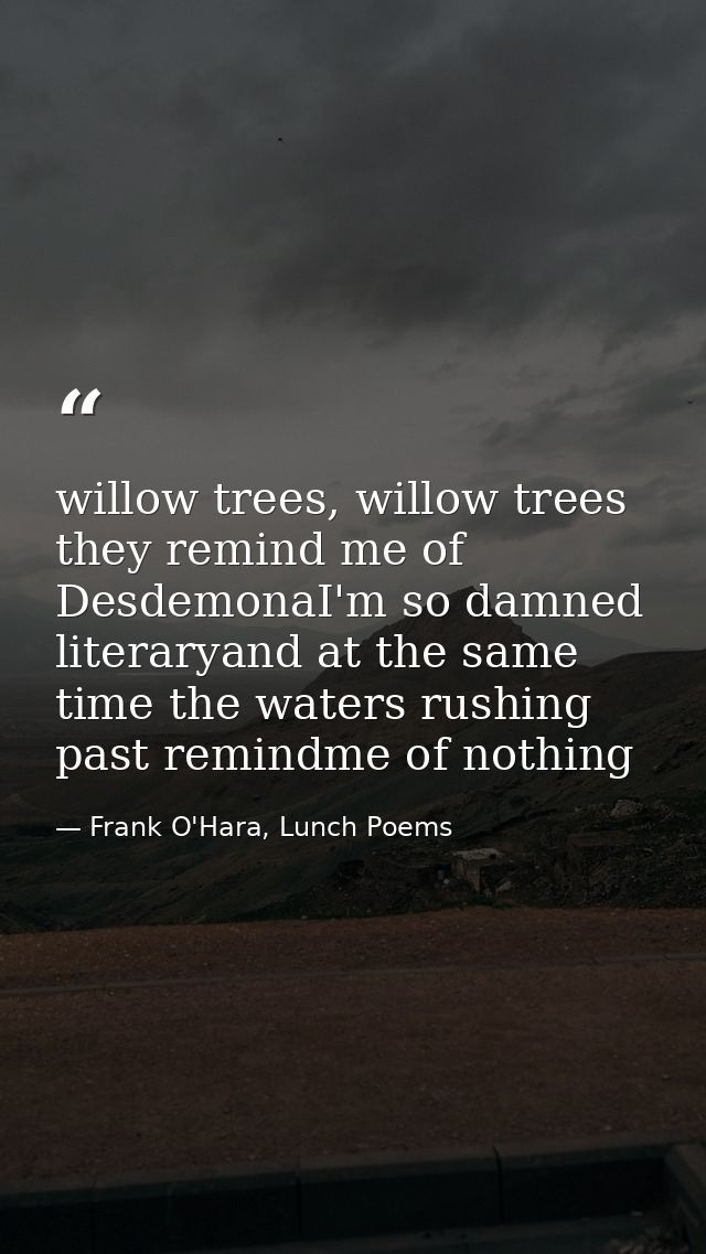 willow trees, willow trees they remind me of DesdemonaI'm so damned literaryand at the same time the waters rushing past — Frank O'Hara, Lunch Poems