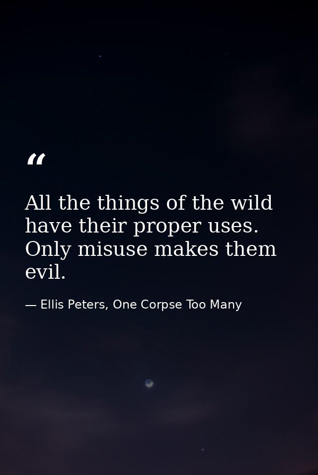 All the things of the wild have their proper uses. Only misuse makes them evil. — Ellis Peters, One Corpse Too Many