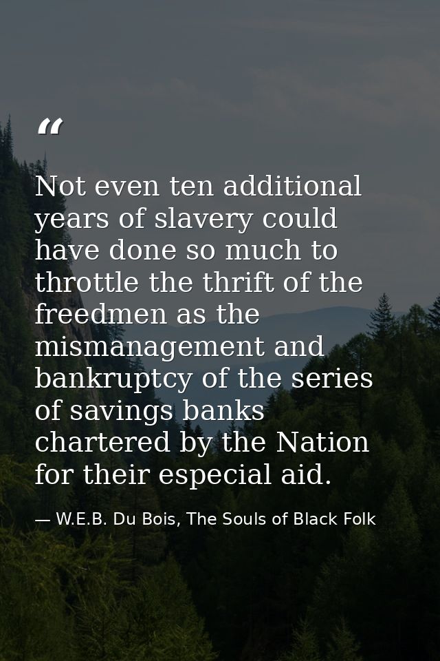Not even ten additional years of slavery could have done so much to throttle the thrift of the freedmen as the mismanage — W.E.B. Du Bois, The Souls of Black Folk