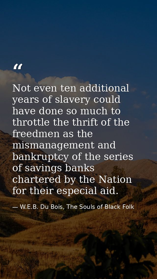 Not even ten additional years of slavery could have done so much to throttle the thrift of the freedmen as the mismanage — W.E.B. Du Bois, The Souls of Black Folk