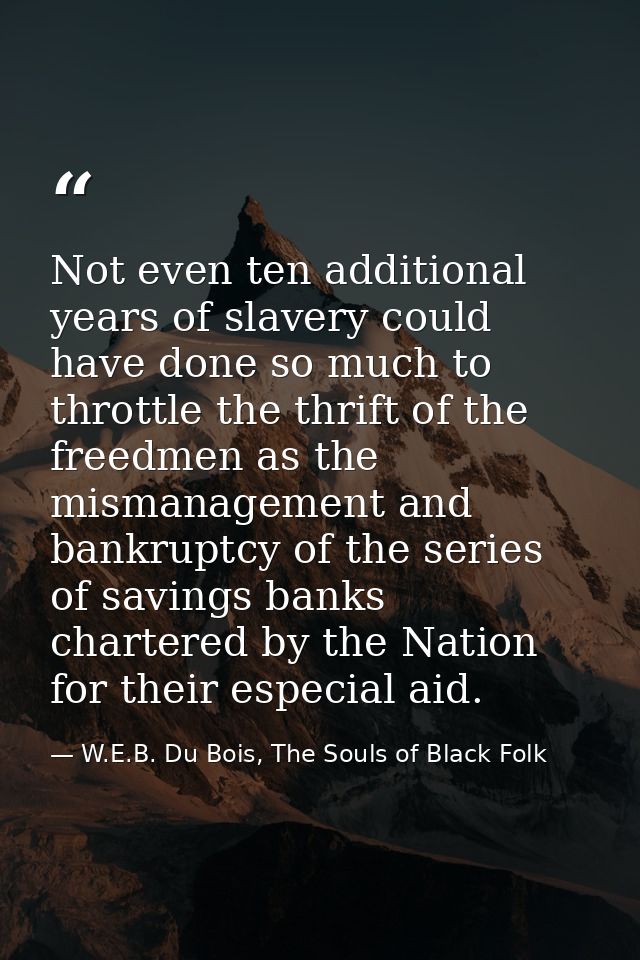 Not even ten additional years of slavery could have done so much to throttle the thrift of the freedmen as the mismanage — W.E.B. Du Bois, The Souls of Black Folk