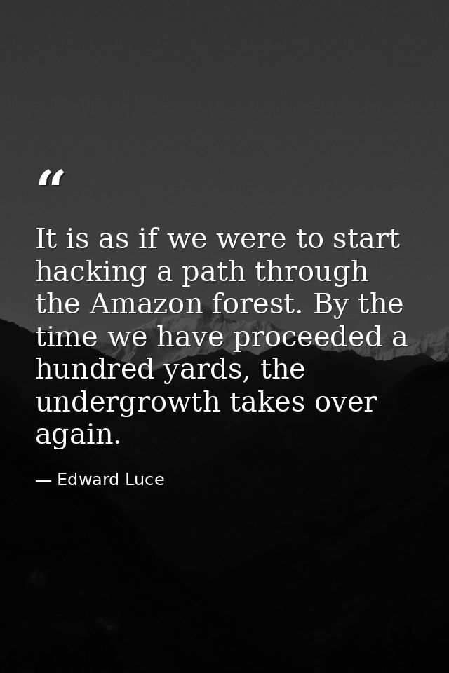 It is as if we were to start hacking a path through the Amazon forest. By the time we have proceeded a hundred yards, th — Edward Luce