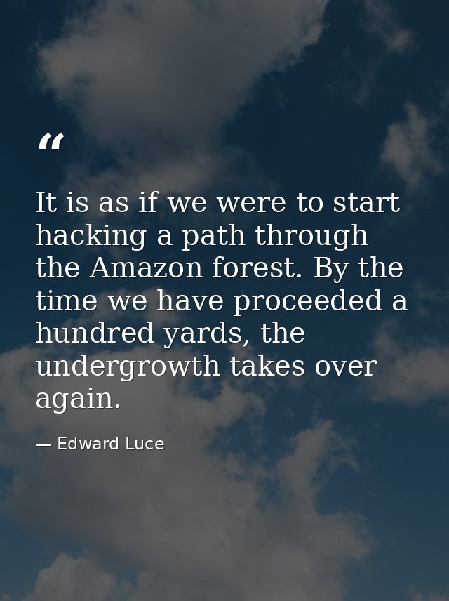It is as if we were to start hacking a path through the Amazon forest. By the time we have proceeded a hundred yards, th — Edward Luce