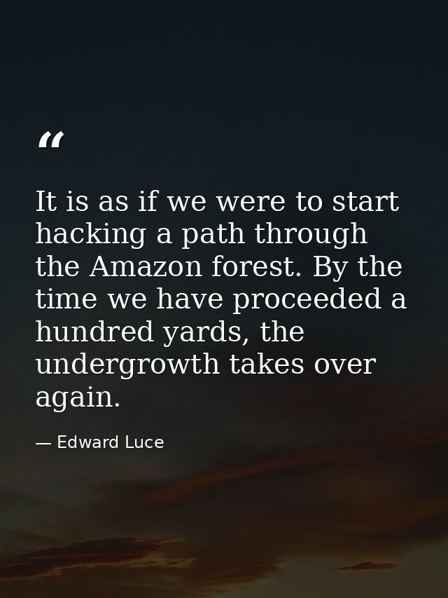 It is as if we were to start hacking a path through the Amazon forest. By the time we have proceeded a hundred yards, th — Edward Luce
